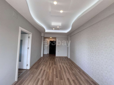 WhatsApp Image 2024-03-15 at 13.48.01.jpeg